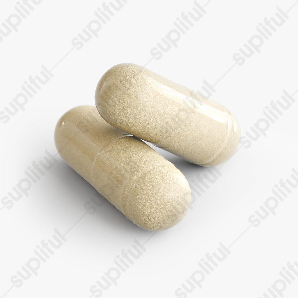 Advanced Gut Health Formula | Digestive & Microbiome Support
