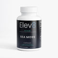 Premium Sea Moss Complex | Immune, Mineral & Daily Wellness Support | Elev8 Health