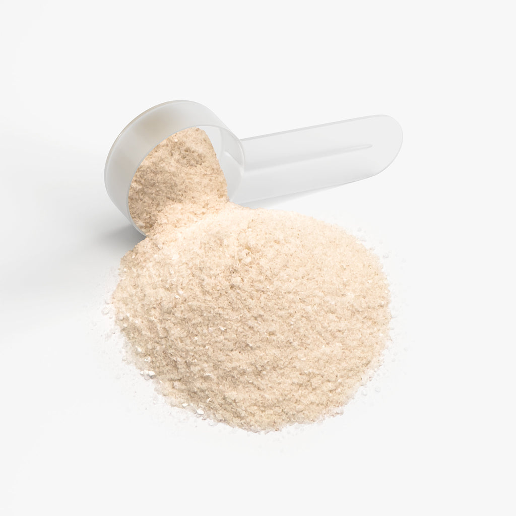 Hydration Powder – Lemonade | Daily Electrolyte & Performance Support