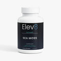 Premium Sea Moss Complex | Immune, Mineral & Daily Wellness Support | Elev8 Health